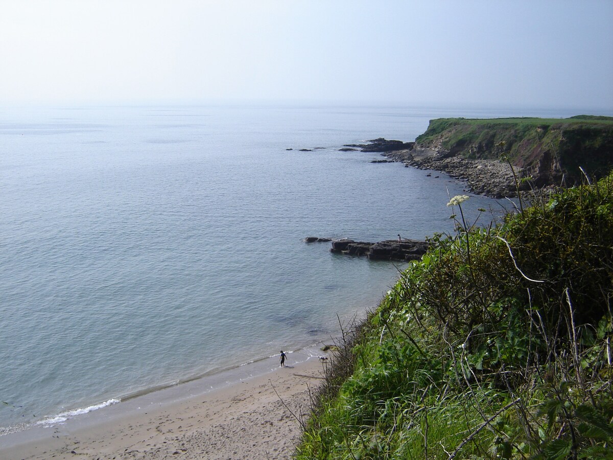 沙滩上-桑迪尔湾（ Sandeel Bay ） ，海上的费萨德（ Fethard on Sea ）