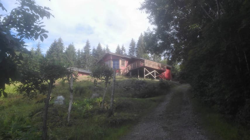 Telemark的民宿