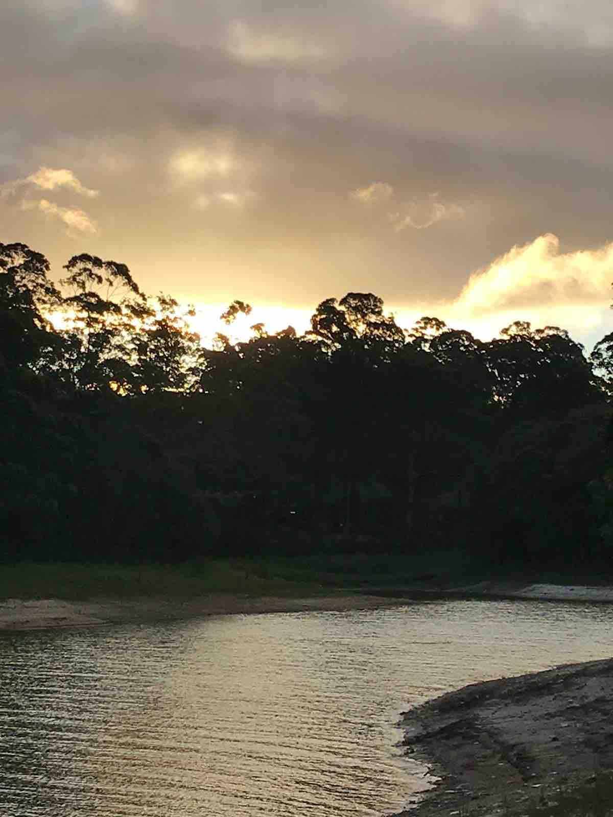 Sítio Ilha do Bororé ，比林斯大坝的背景