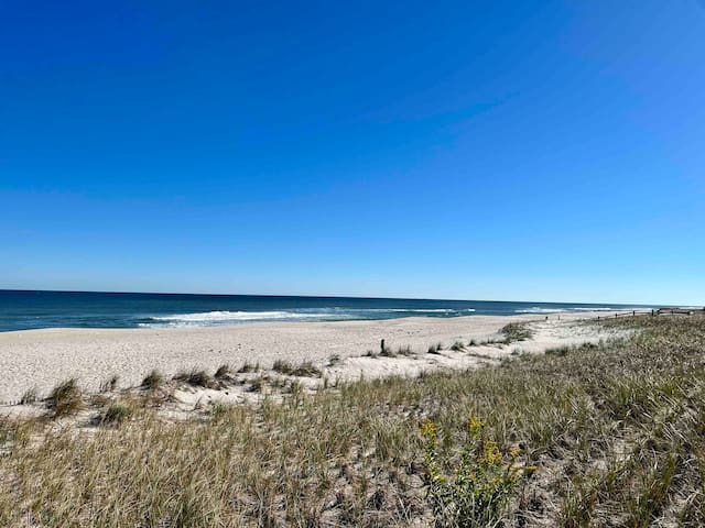 锡赛德海茨（Seaside Heights）的民宿