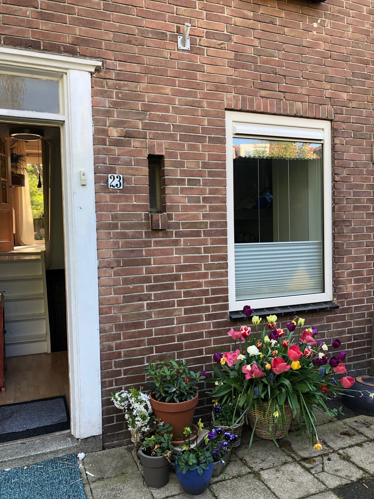 Gemoedelijk, sfeervol huis in Alkmaar