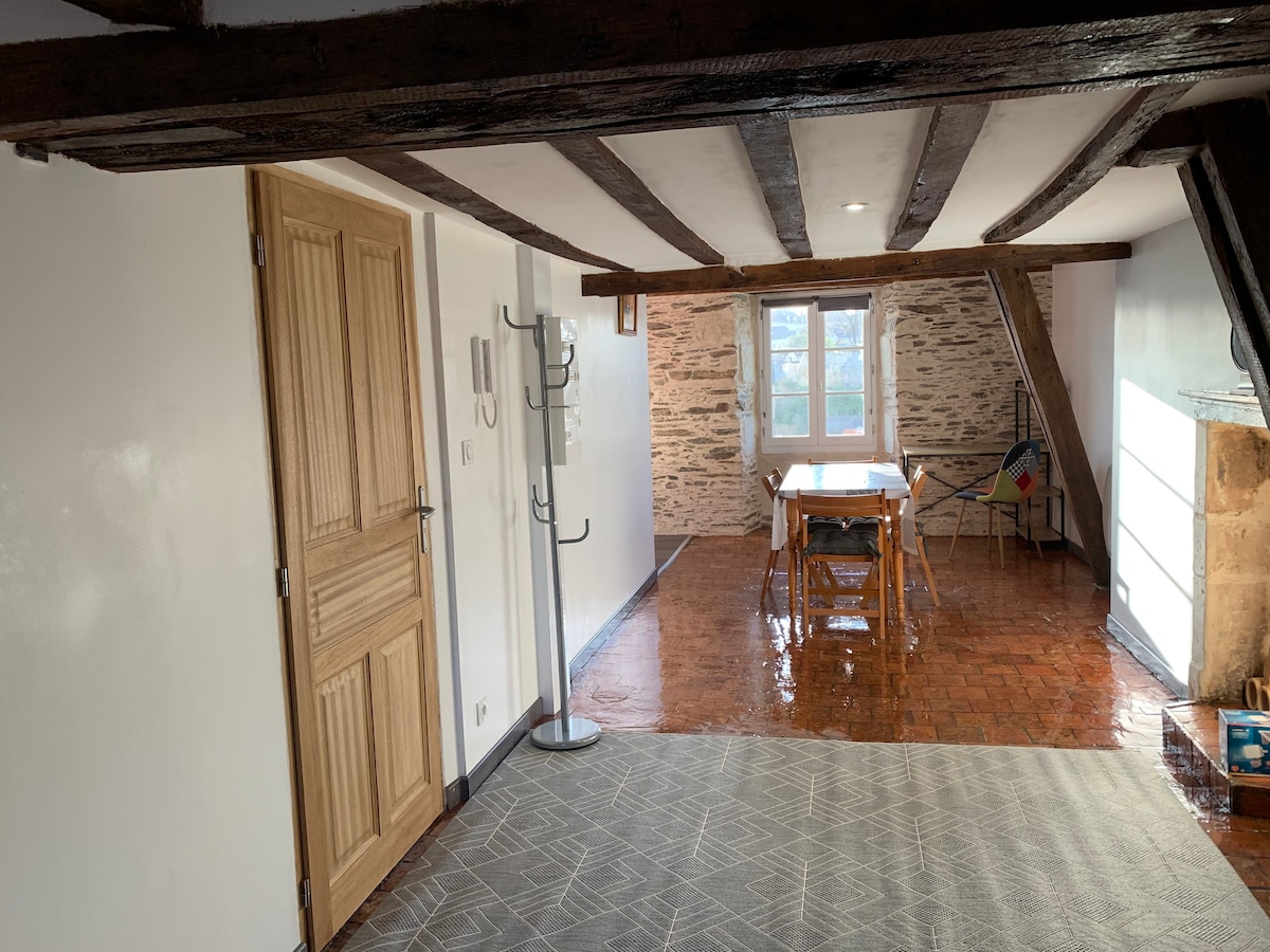 Appartement authentique  - vue sur la Mayenne !