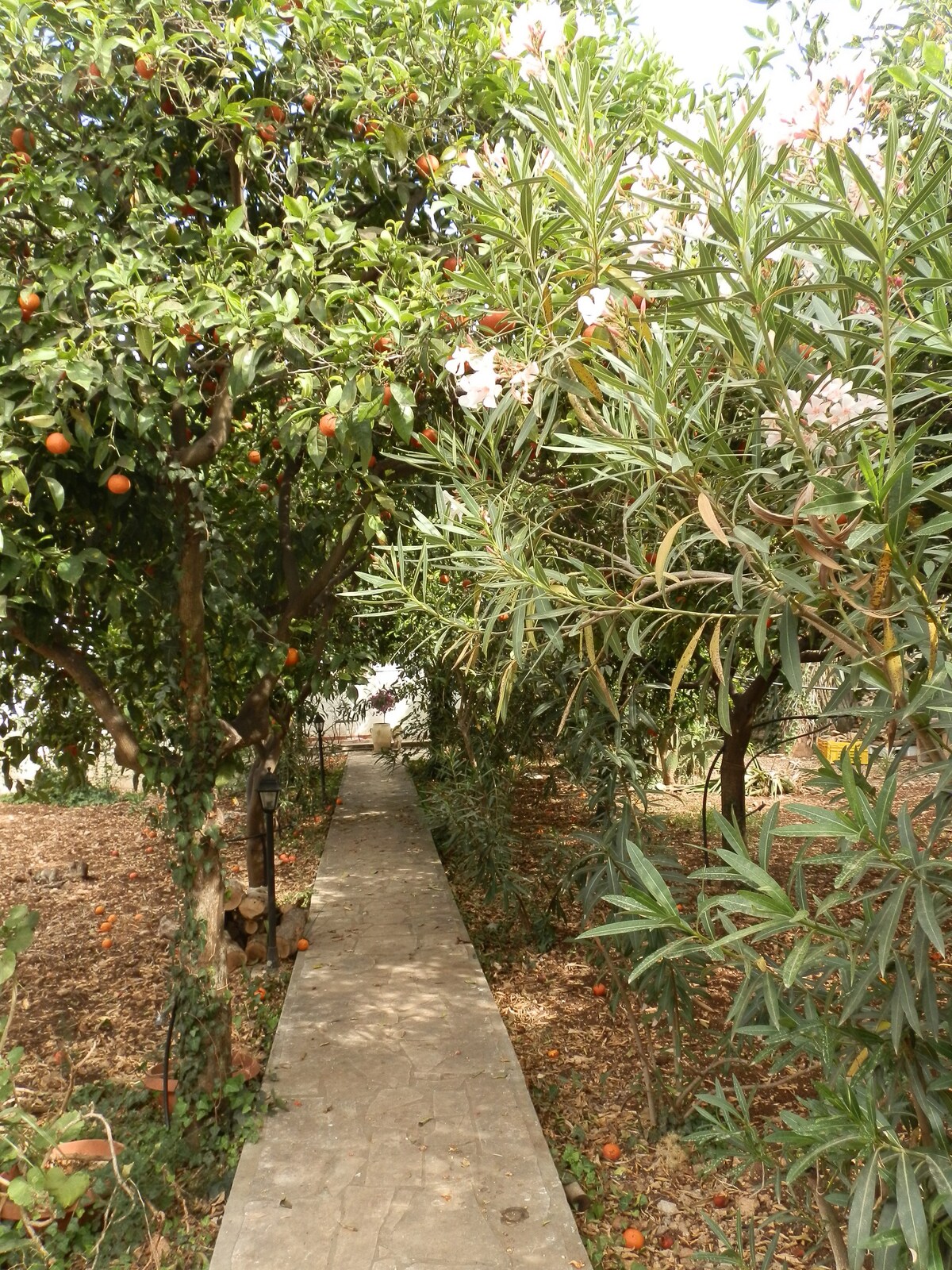 Casa Natura Arenella