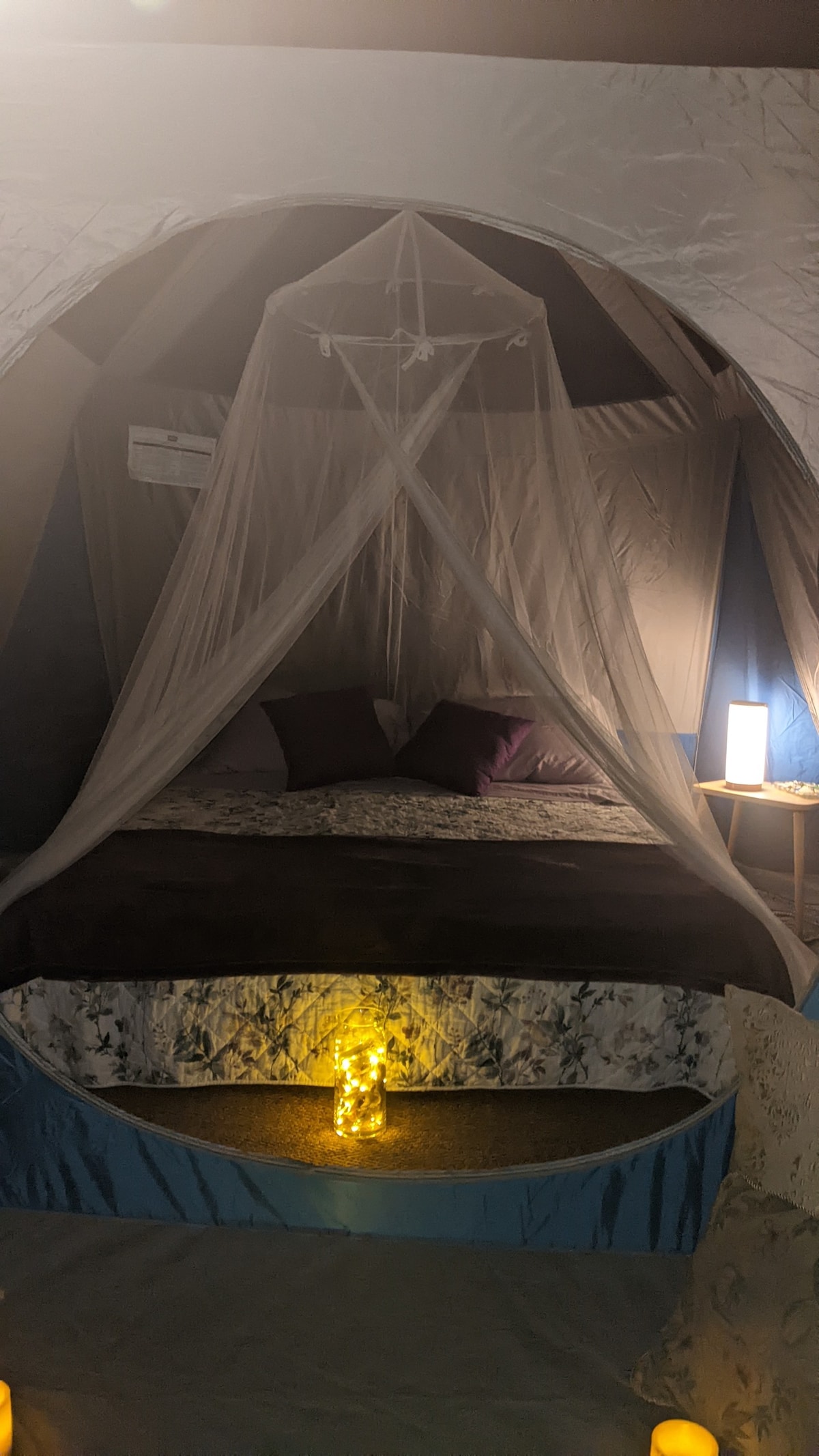 Rincón Glamping Hideaway and Cat Sanctuary