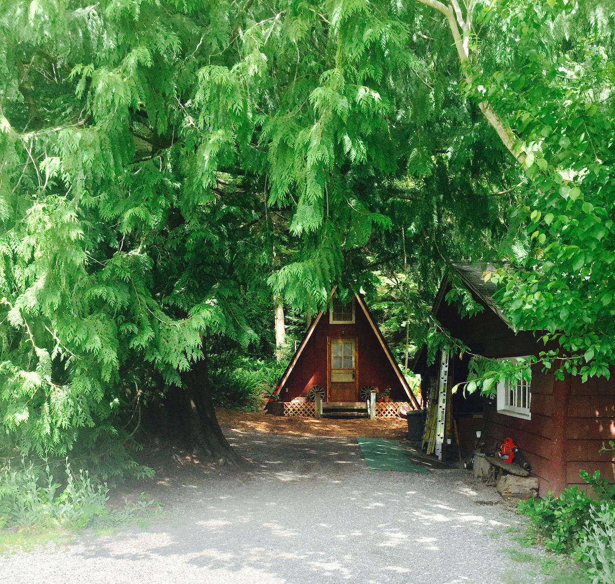森林中的私人Redmond Cottage