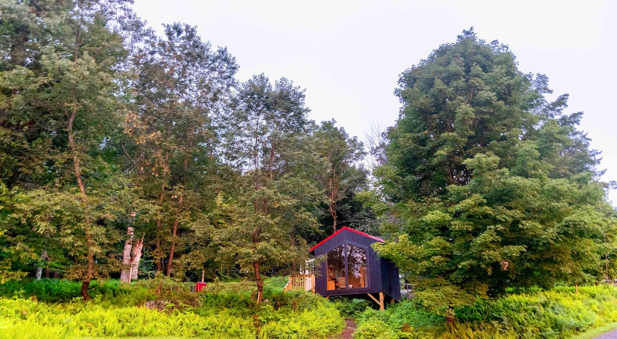 Tiny cabin amongst the trees, on farm with alpacas