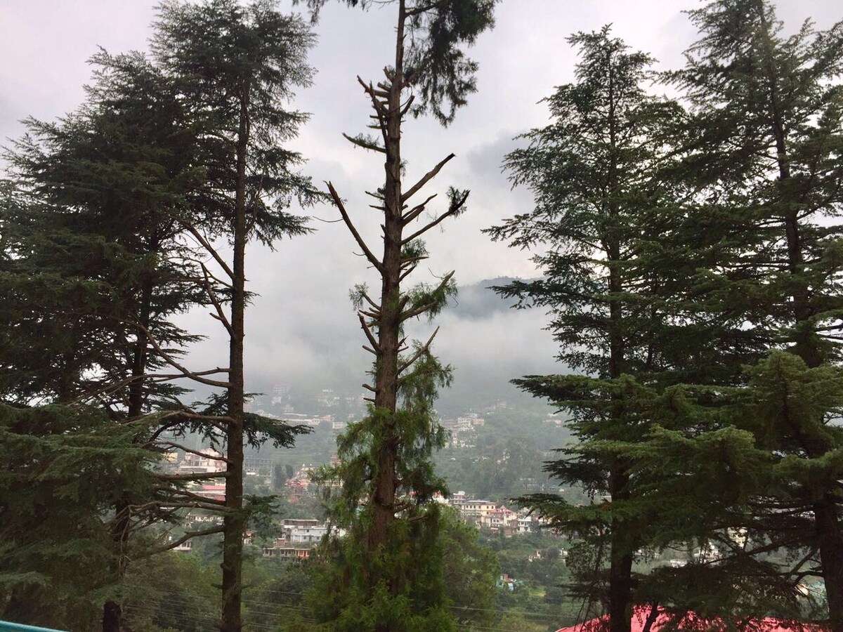 20 Deodar House Solan Himachal Pradesh