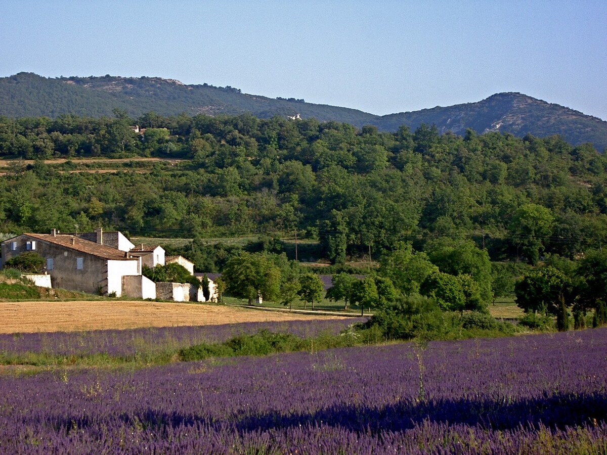 Domaine de La Grande Bastide