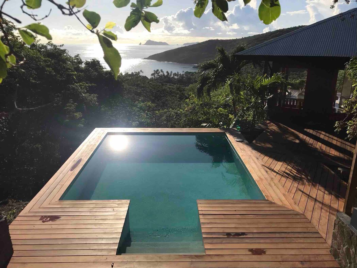 Two pool luxury villa with tropical ocean views