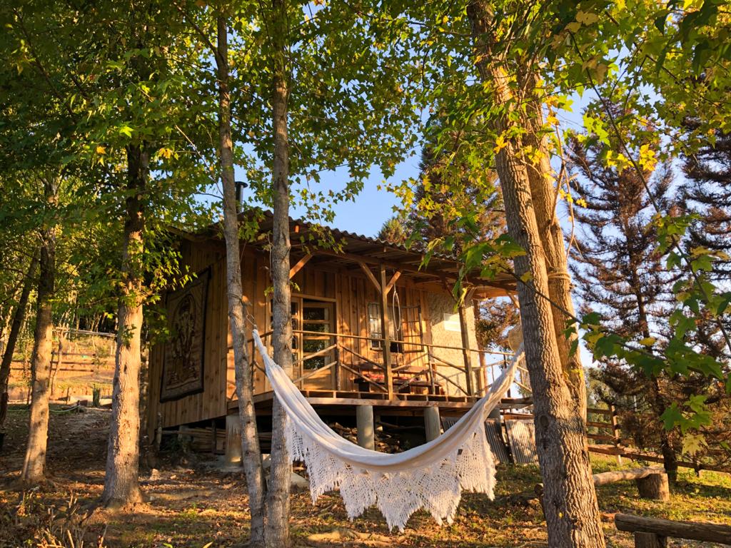 Cabana Lavanda na Montanha de Campo Alegre