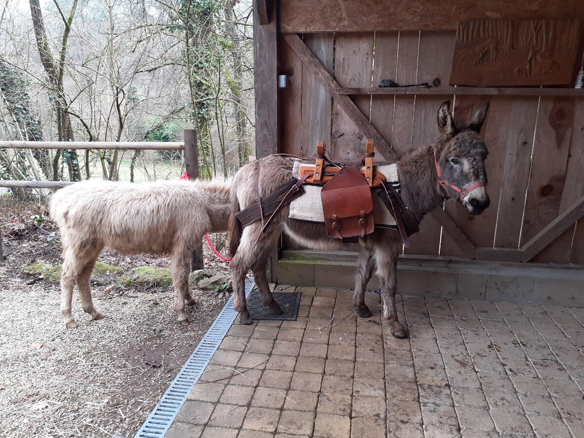 Gîte dans une ferme en permaculture