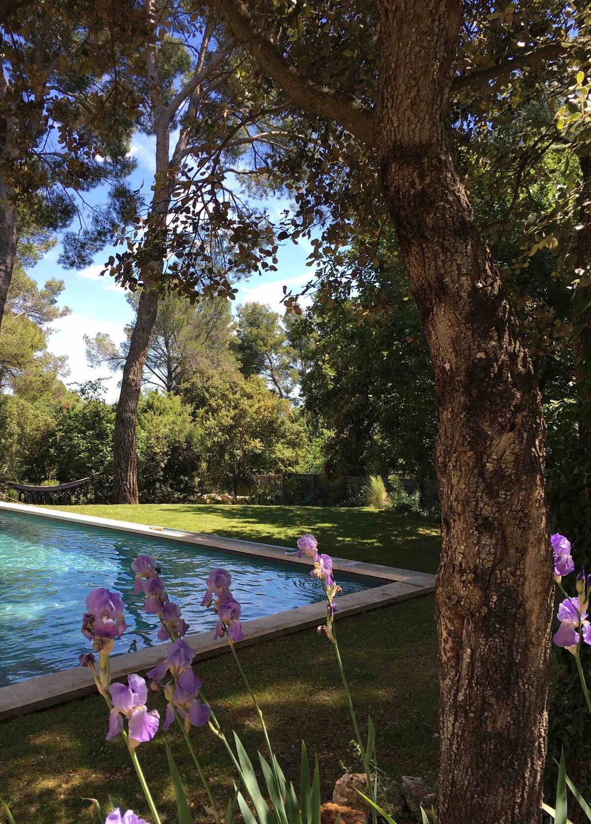 别墅，带泳池，距离普罗旺斯艾克斯（ Aix-en-Provence ） 5