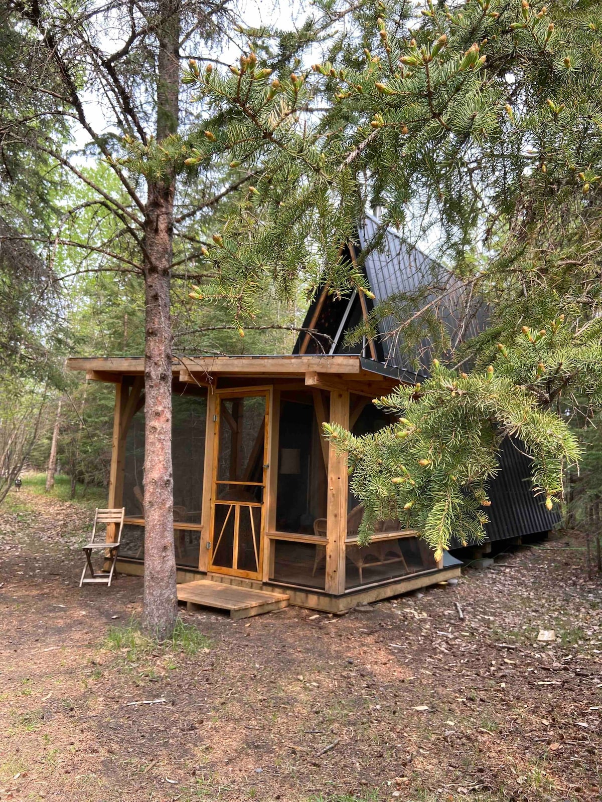 A small cabin in the woods with hot tub & internet