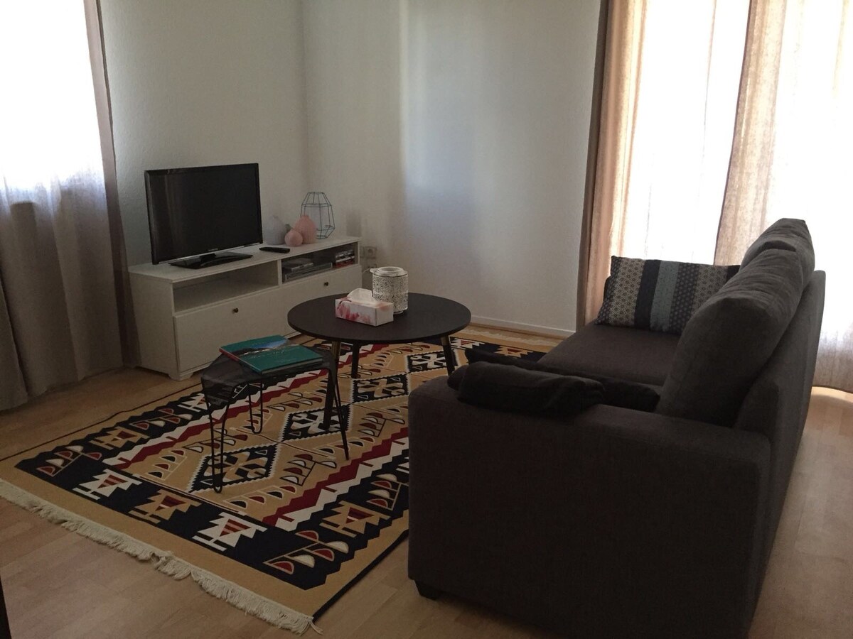 Apartmentin Nicolairue,梅斯