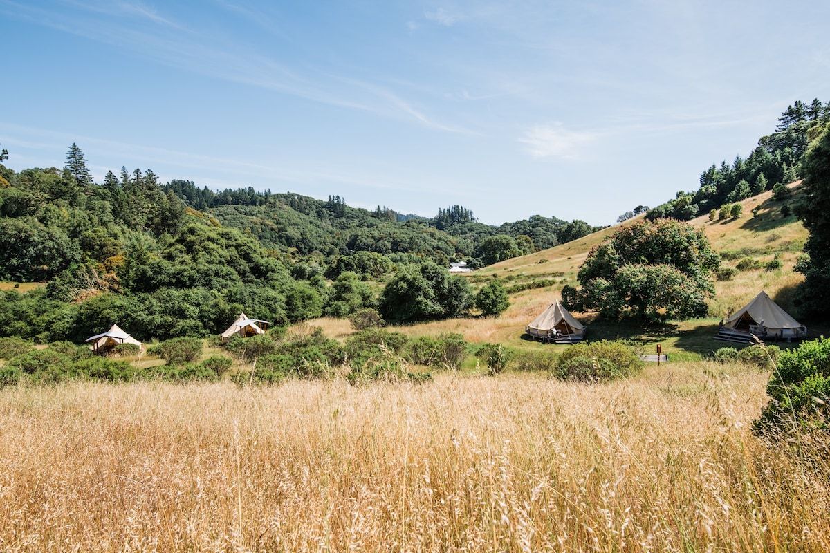 Toyon & Fiddlehead Glamping Tents at Whispertree