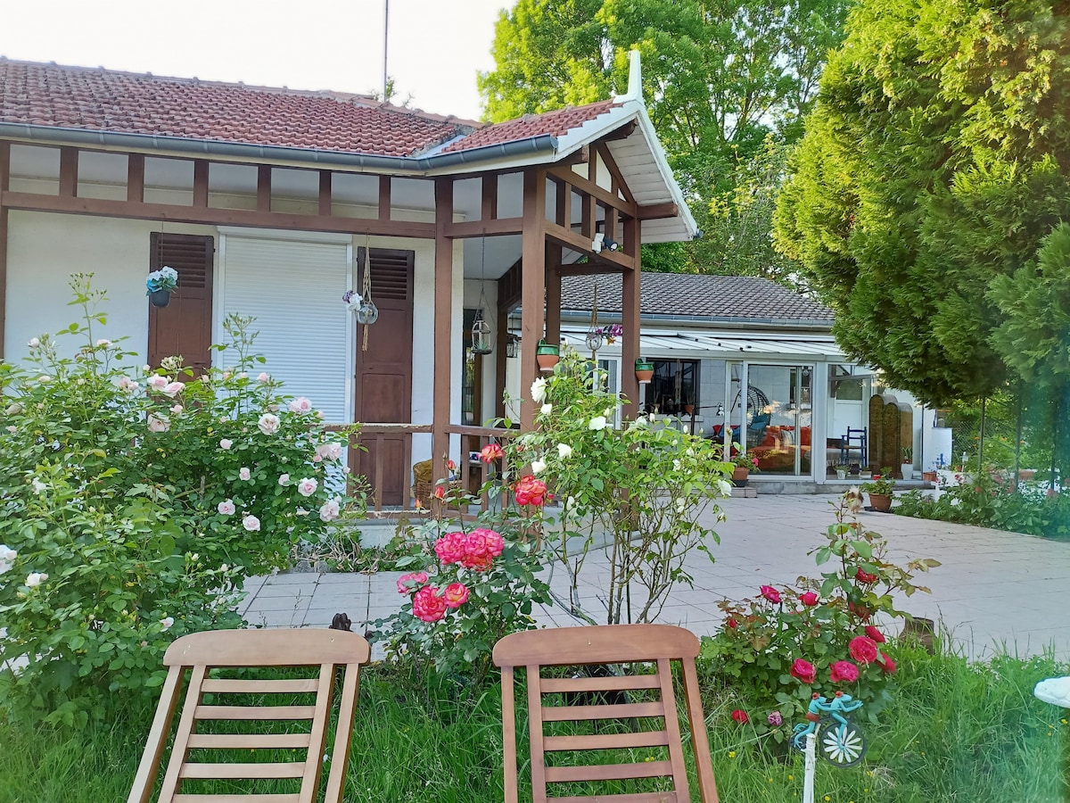 Maison de charme avec grand jardin arboré