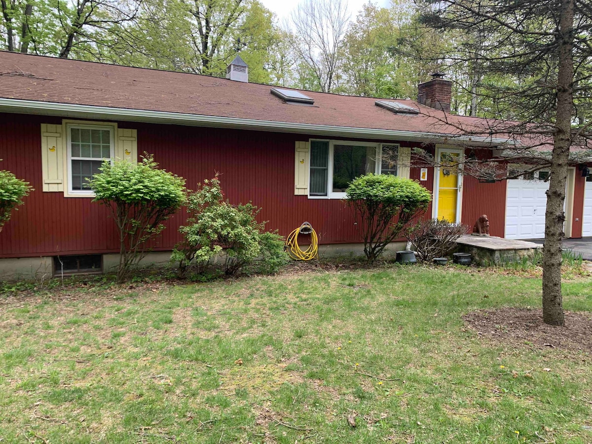 Yellow Door House