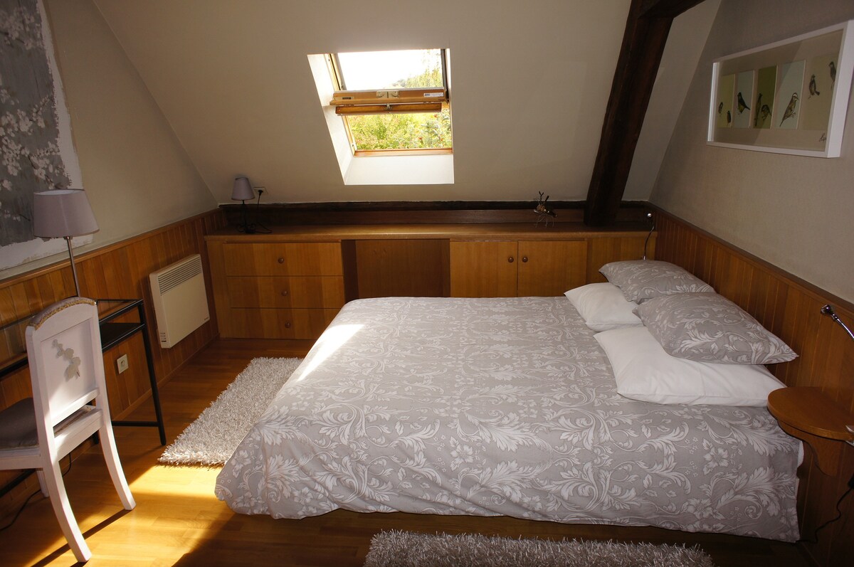 2间卧室，位于Ballon d 'Alsace山脚下
