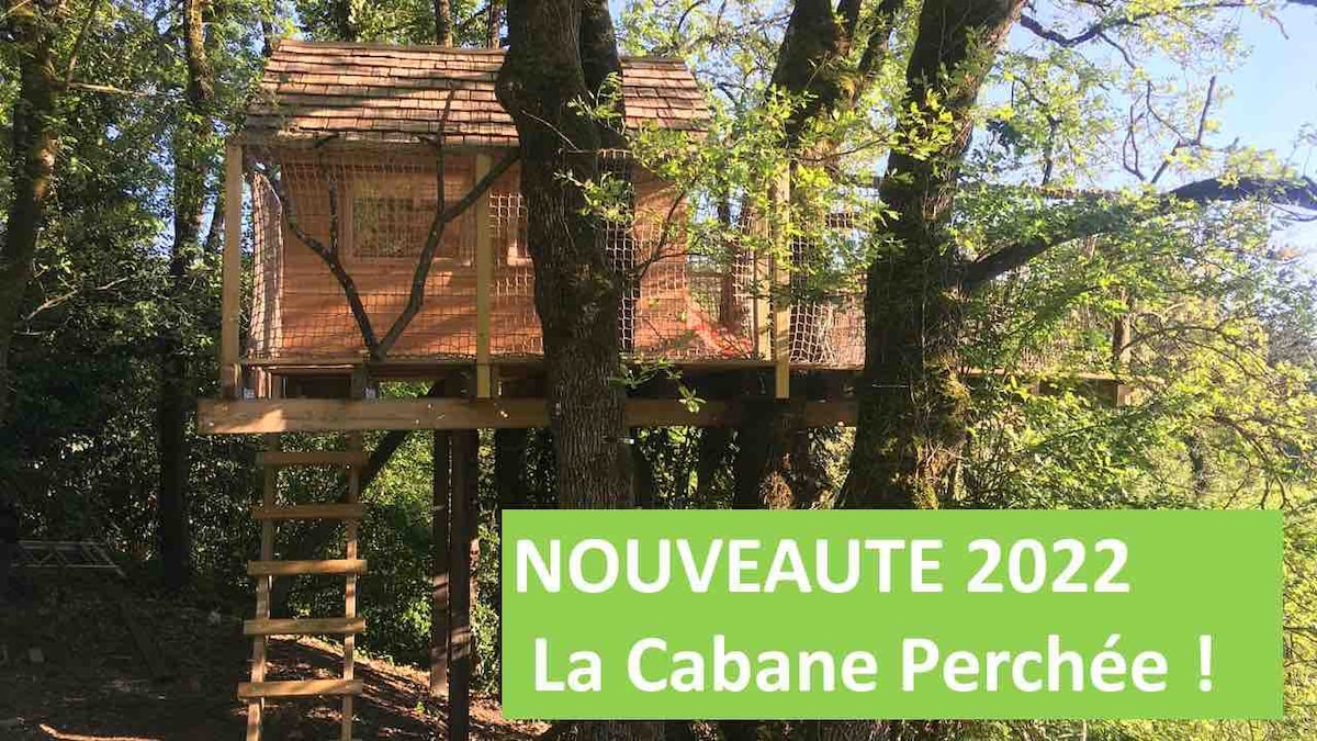 Maison avec Cabane perchée et piscine à 5km d’Albi