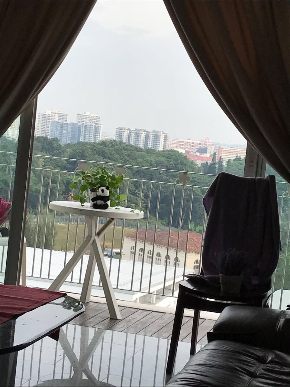新加坡中心区域+交通便利+居住舒适+视野开阔+配套齐全+的公寓