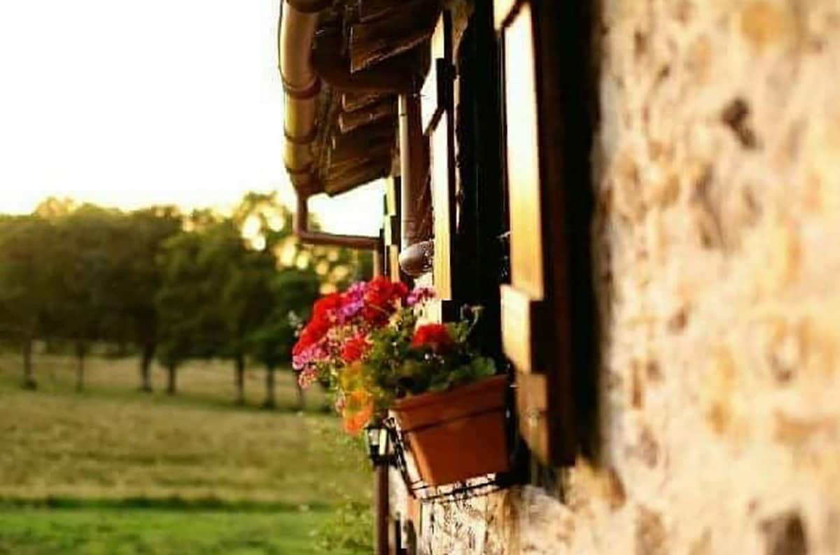 Bussiere-Poitevine, with Hot Tub