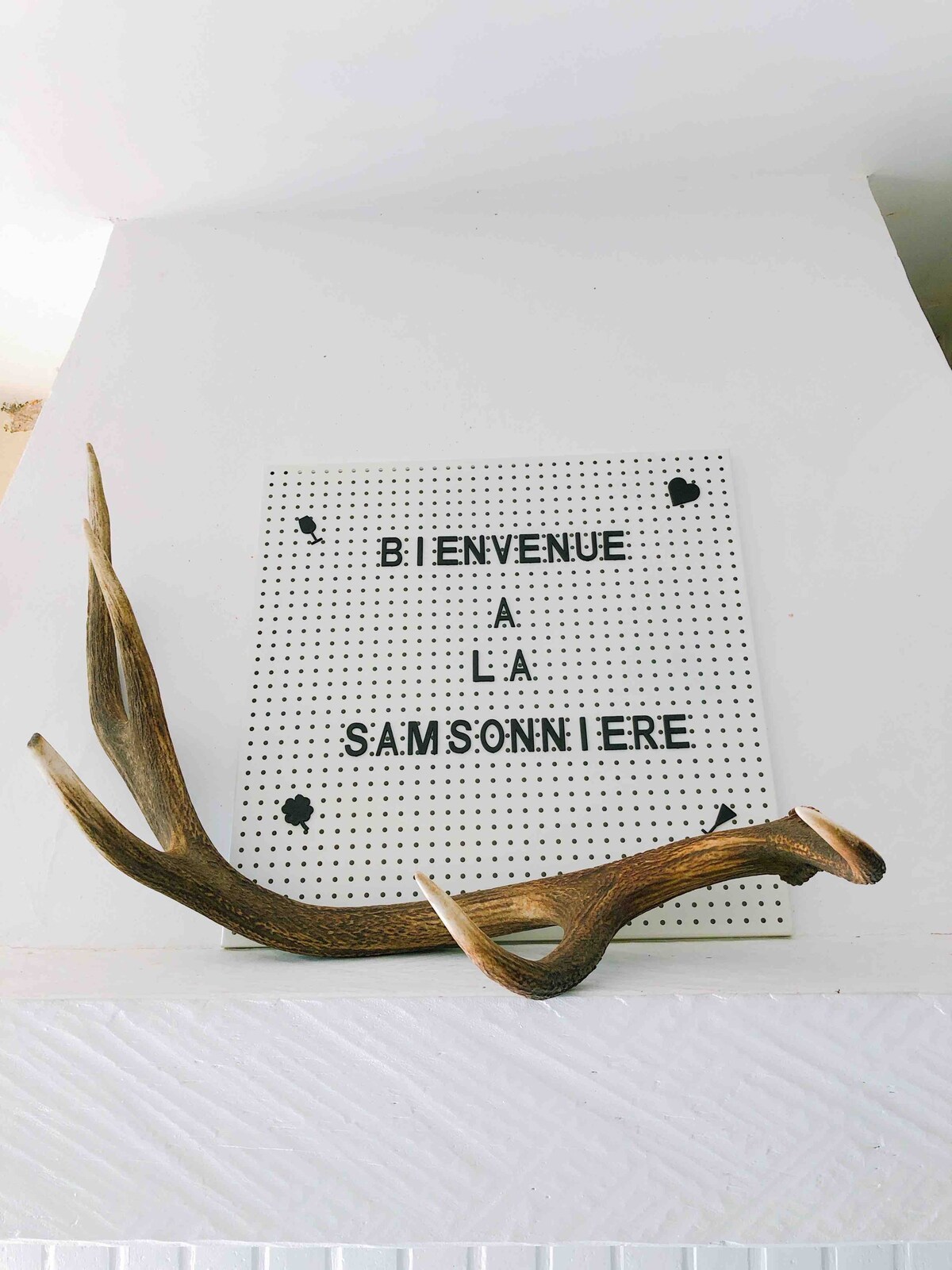 卢瓦尔城堡（ Chateaux de la Loire ）中心的「La Samsonniére」