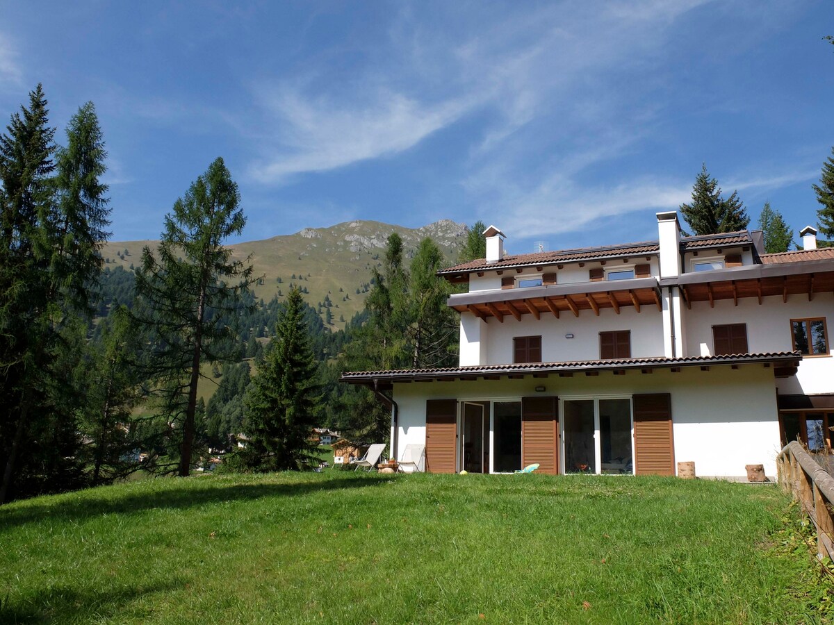 Dolomiti, mountainview apartment in Val di Fiemme