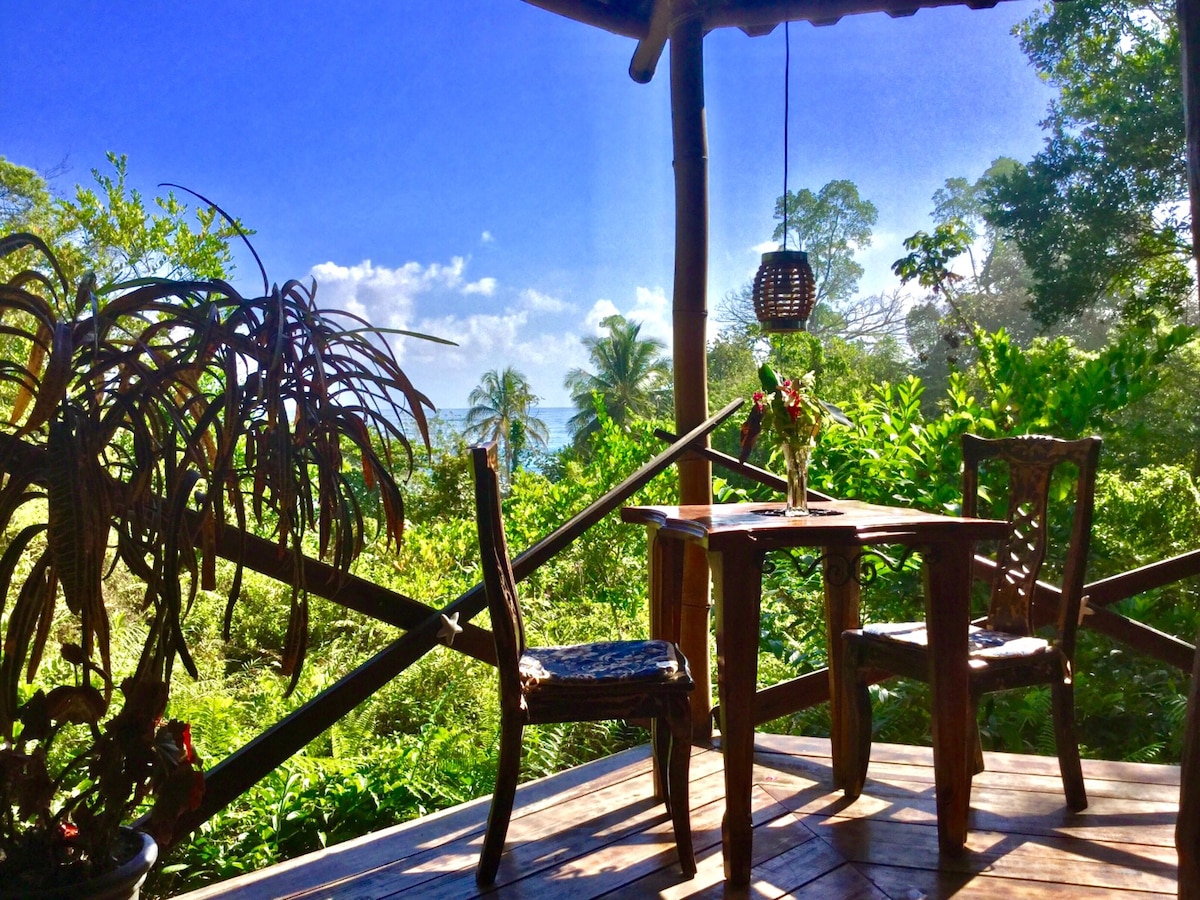 Breezy Ocean View Jungle House