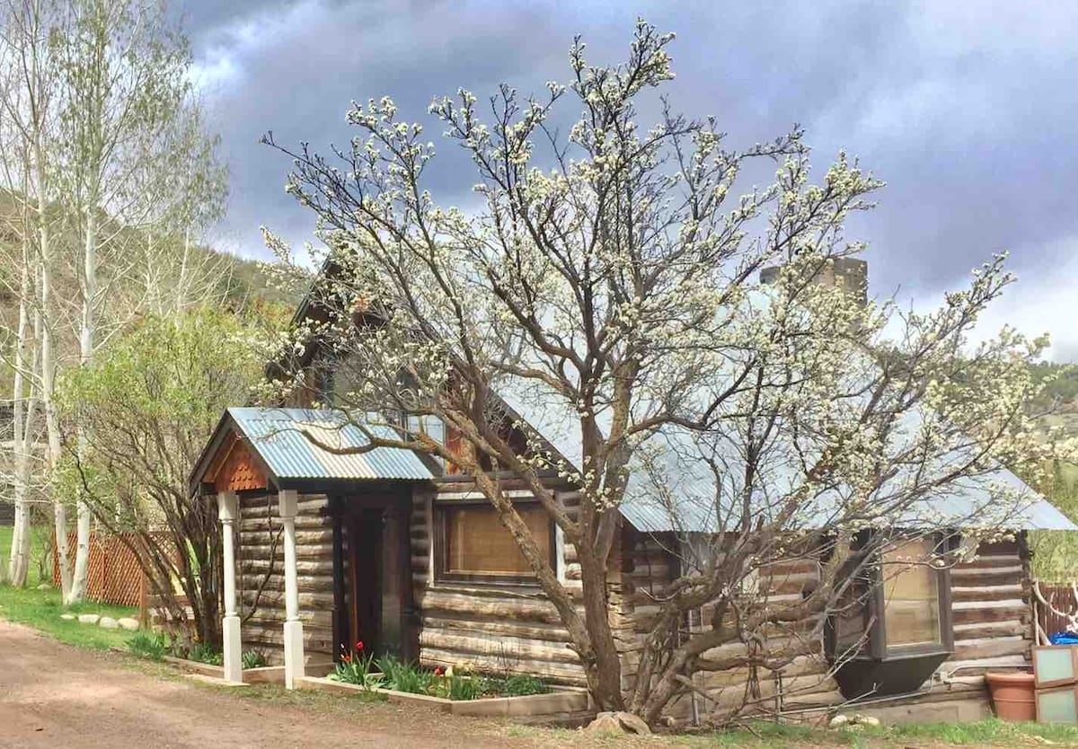 1880 Log Cabin with Mountain View