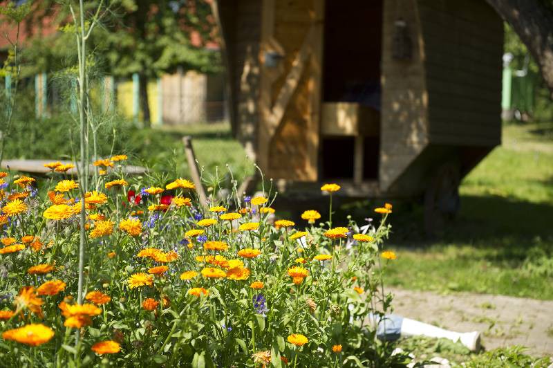 Landgut Untere Mühle, (Straßberg), Antik-Suite, 25 qm, 1 Schlafzimmer, max. 4 Personen