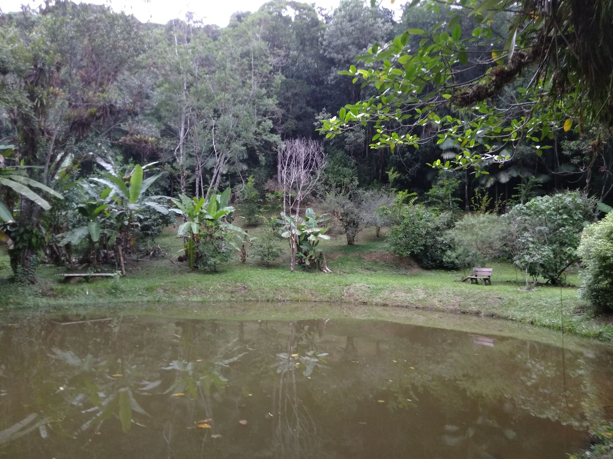 Ecositio: paz e celebração com a natureza