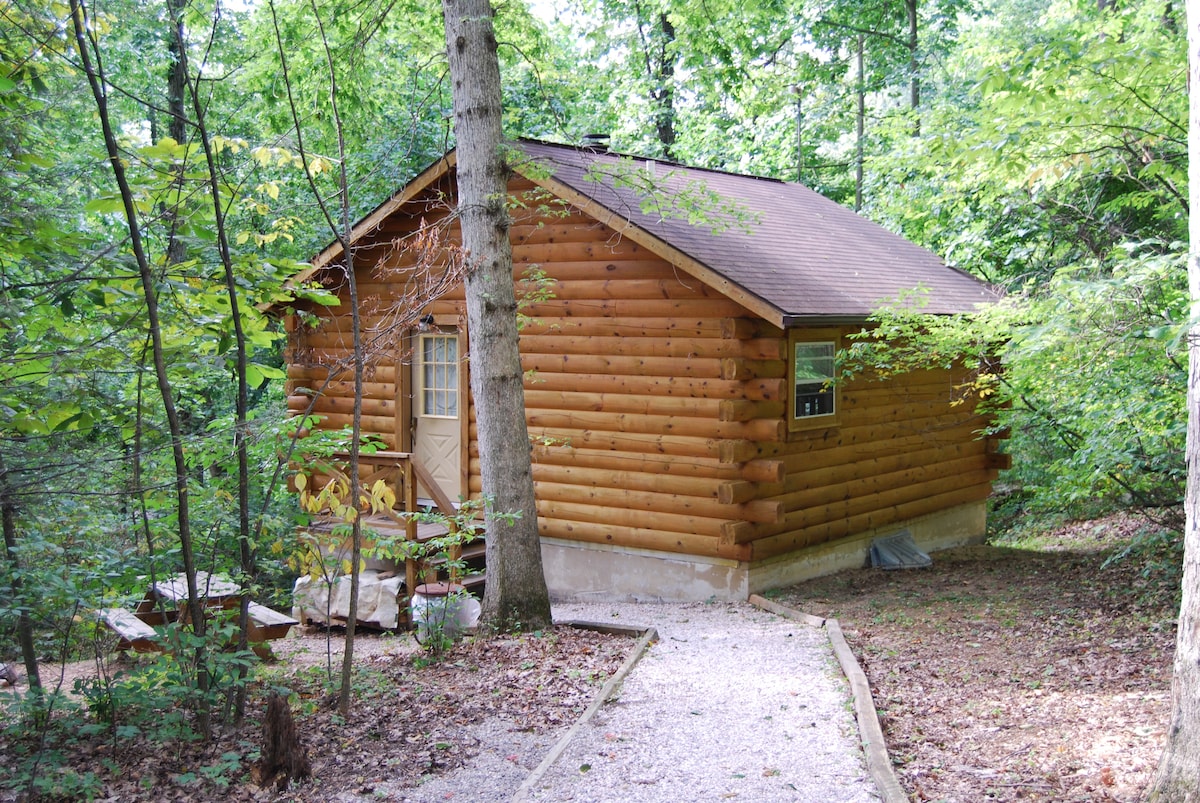 隐藏和寻找奢华原木小屋，森林中的瑰宝