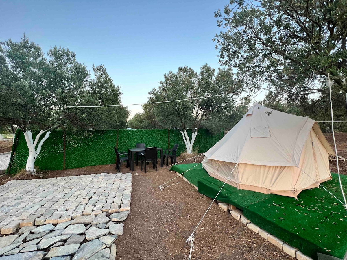 大自然中的露营帐篷