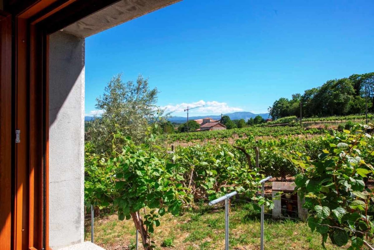 Villa with Pool in Pantòn, The Ribeira Sacra, Galicia, Spain.