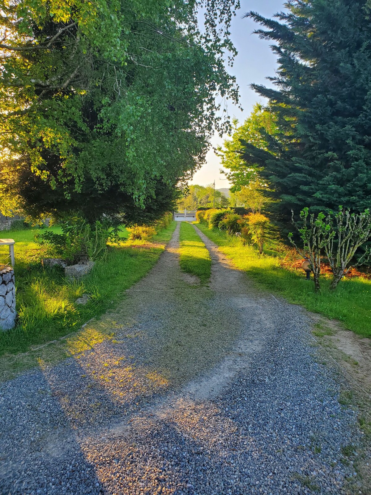 Chambre forêt au calme