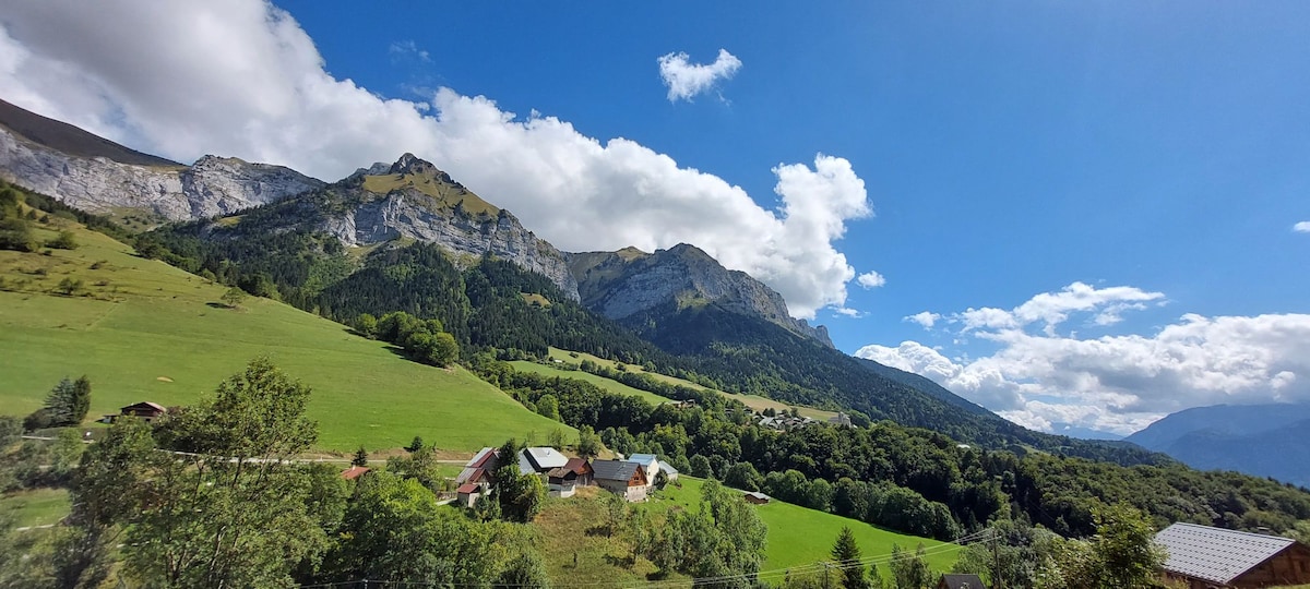 Studio avec vue montagne