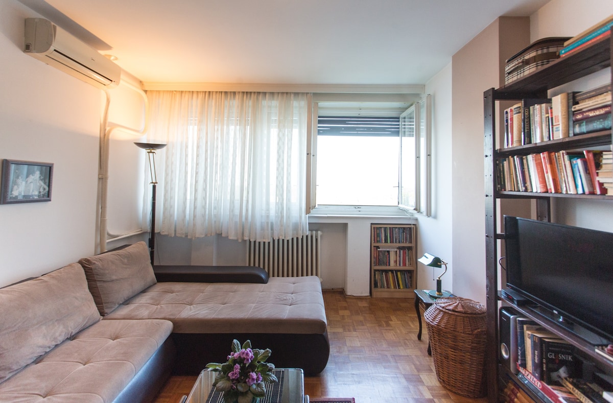 舒适的公寓，可欣赏多瑙河的美景