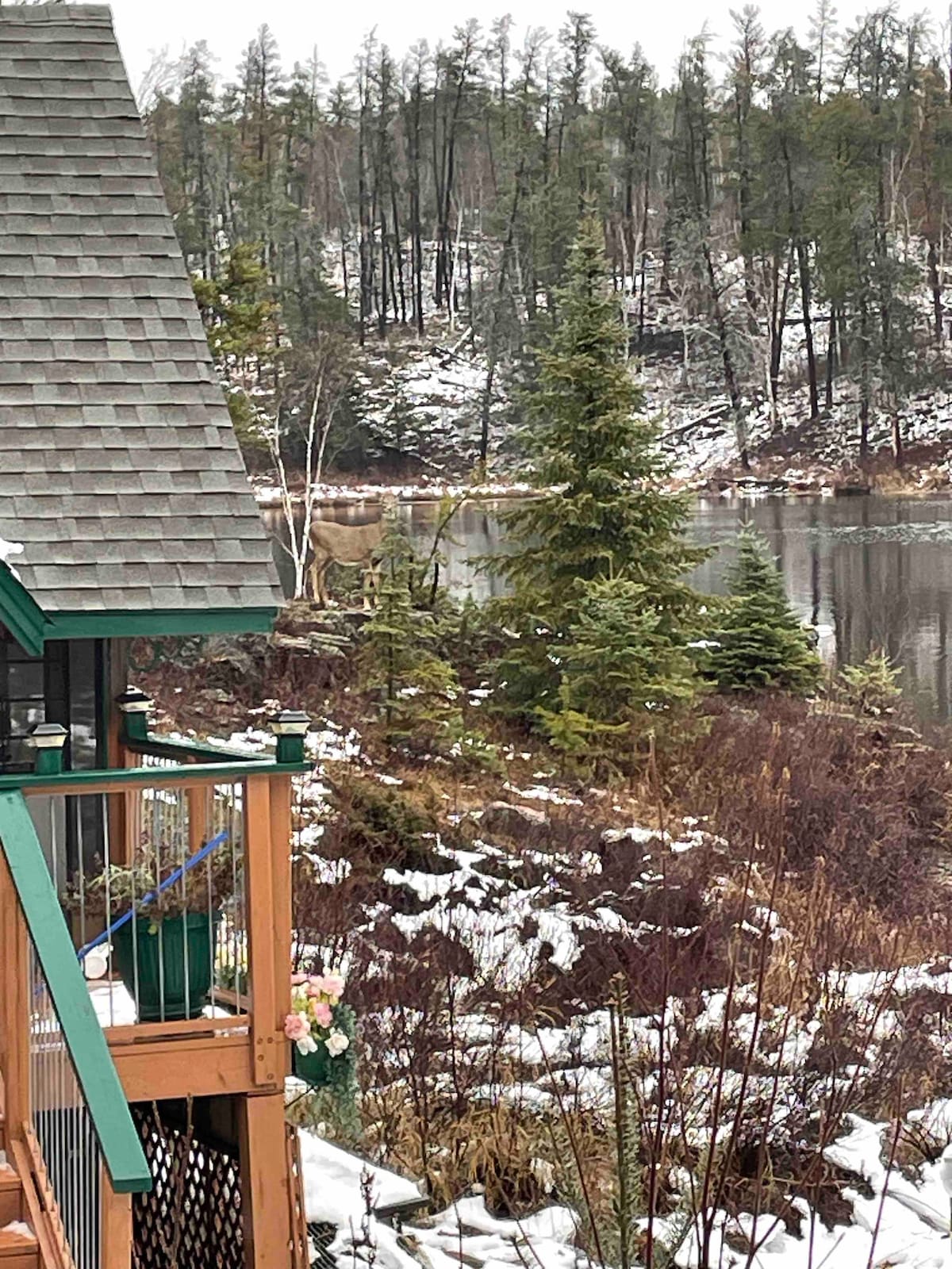 Quiet Bay West Hawk Cottage