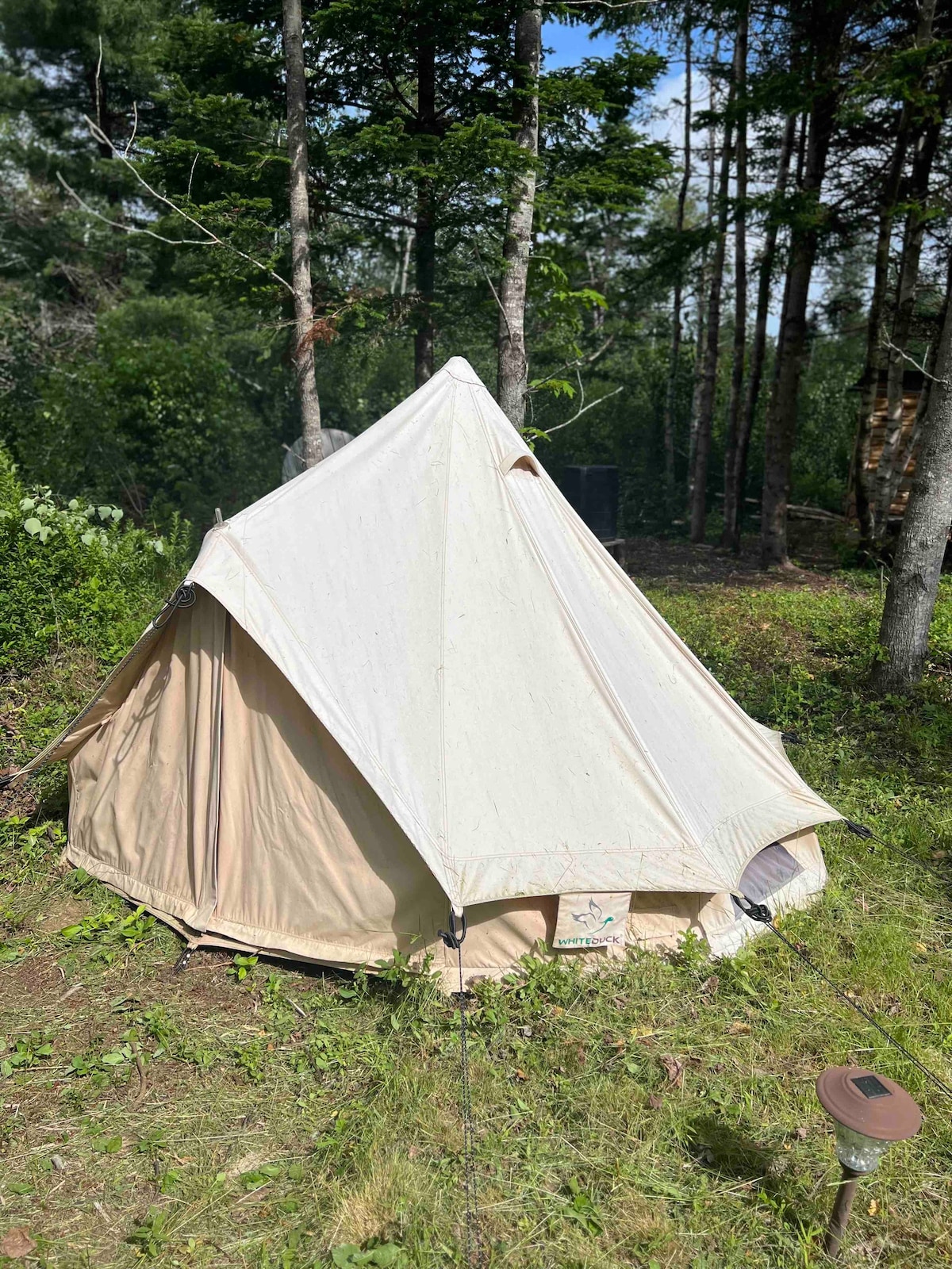 Woodland Hideaway钟形帐篷