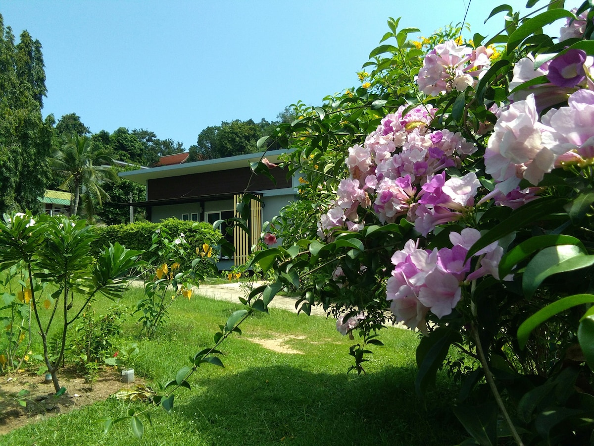 苏梅岛阿马菲之家