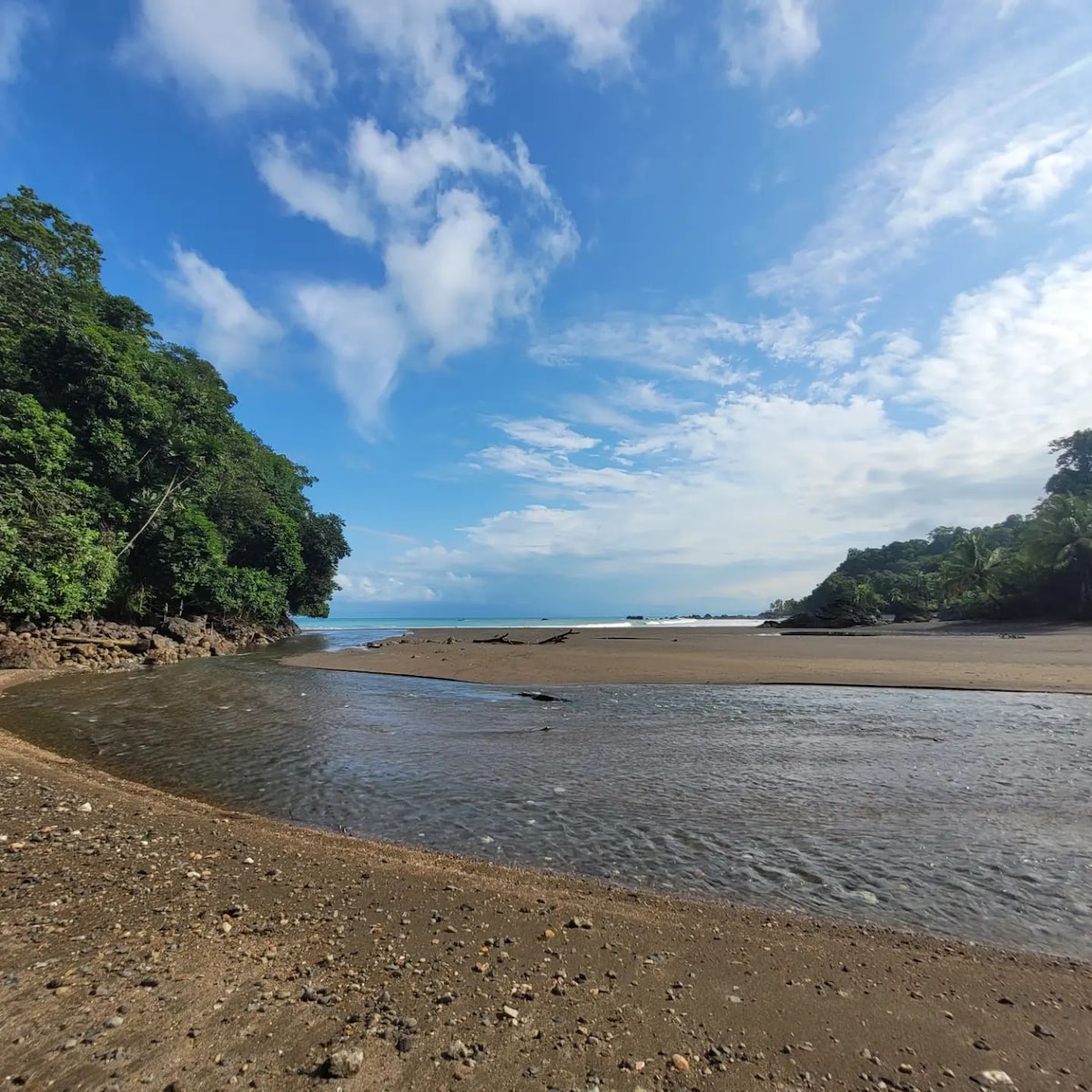 Bahía Terco en medio de Selva y Mar. Guayacán
