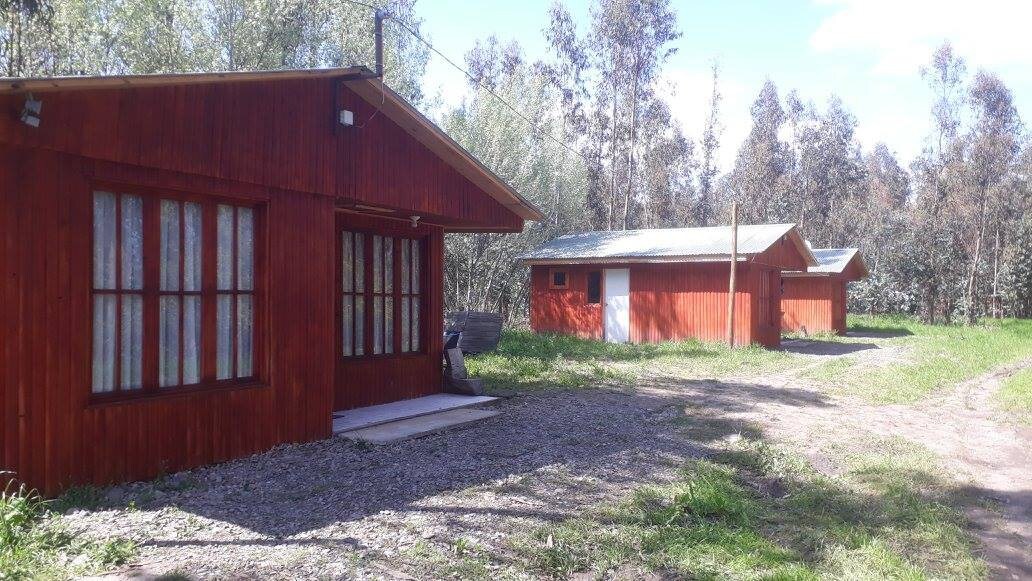 La Casa del Gallo小屋1 （ Maule, Yerbas Buenas ）