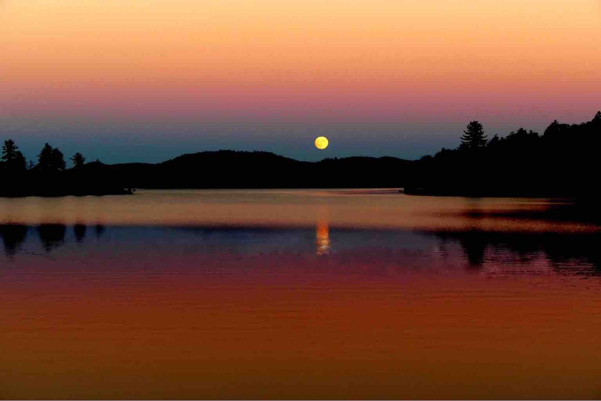 Moose Heaven at BIgMoose Lake