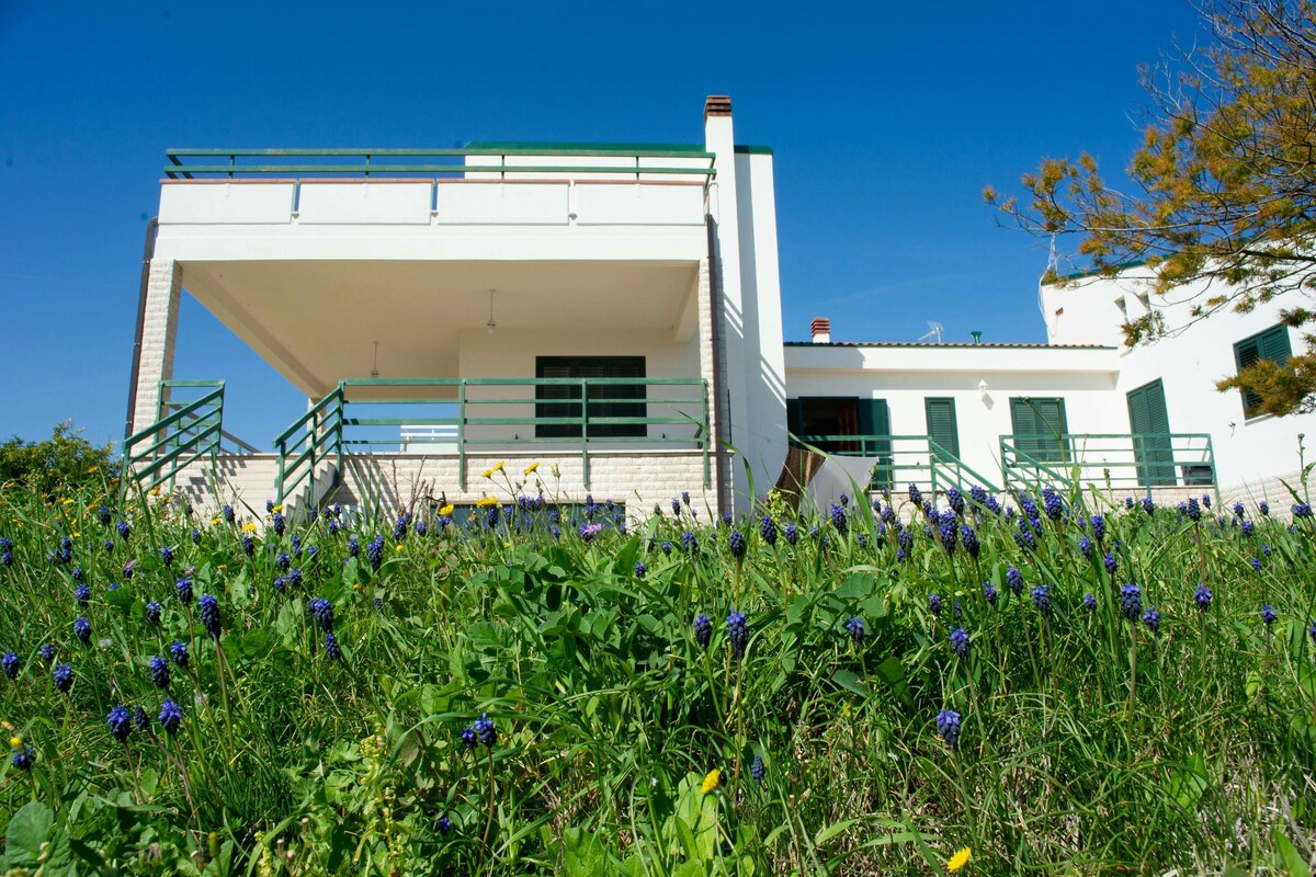 Grande casa di campagna a Termoli