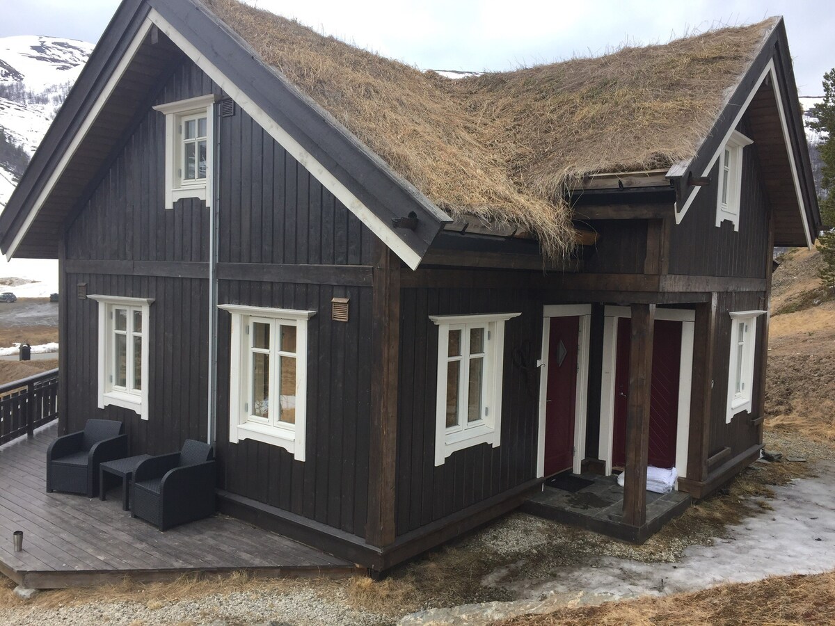 位于Lemonsjøen的Jotunheimen滑雪出入小木屋