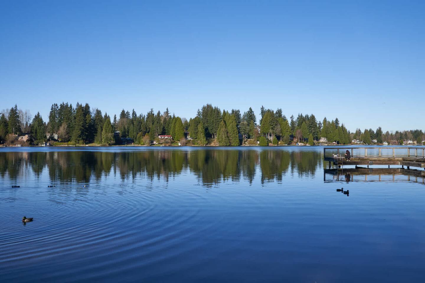 , an Airbnb-friendly apartment in Lynnwood, WA