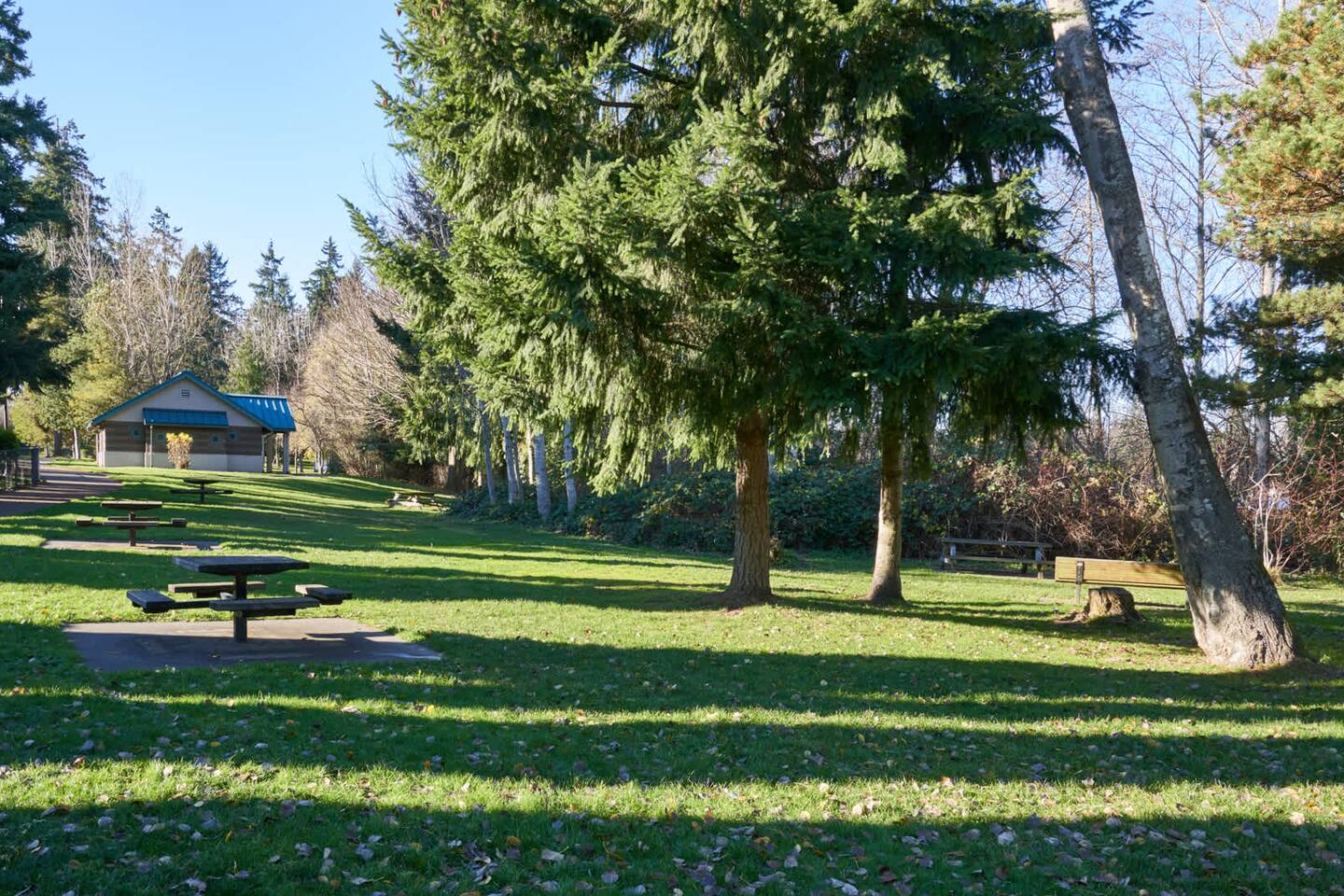 , an Airbnb-friendly apartment in Lynnwood, WA