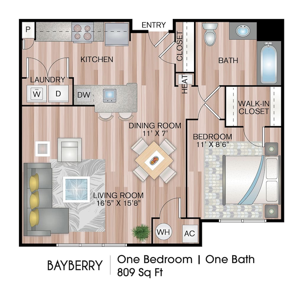 Floorplan diagram for Bayberry, showing 1 bedroom