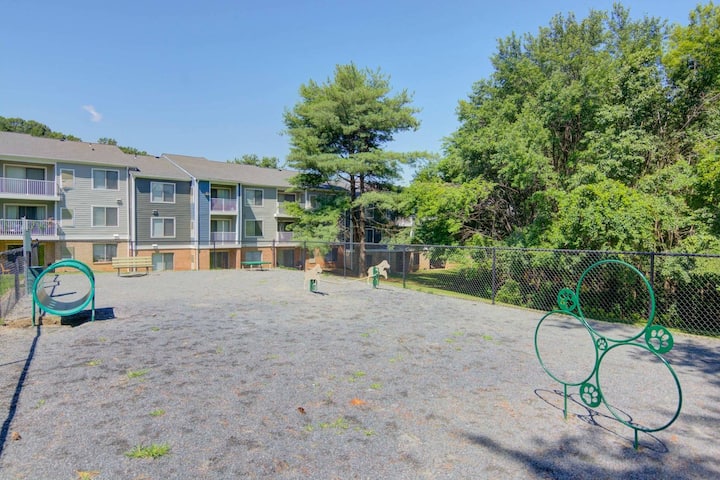 RGVtYW5kUGljdHVyZToxOTUxNjQ2NDY0