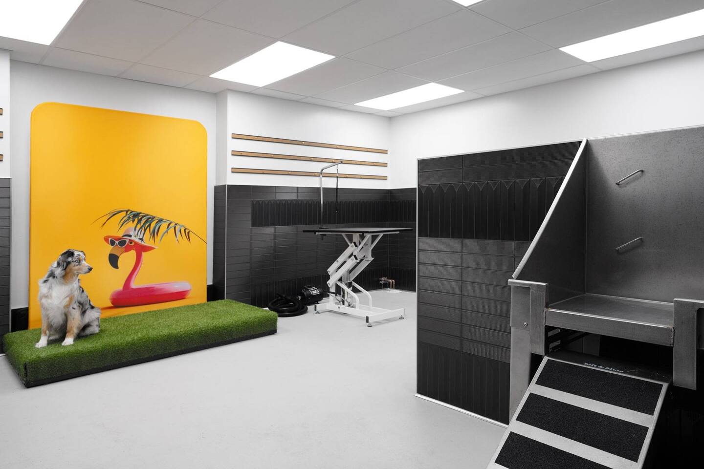 , an Airbnb-friendly apartment in San Diego, CA